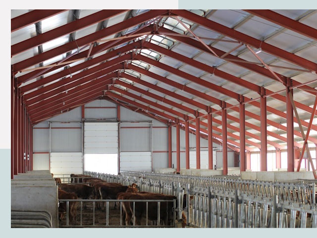 Строительство коровников в Норильске